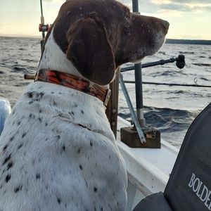 Meet your Posher, Dawn